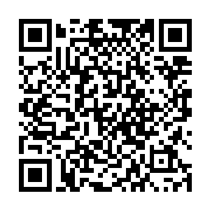 当先的那个叫杨林的男人冲着蓝海有些讪讪地点了点头二维码生成