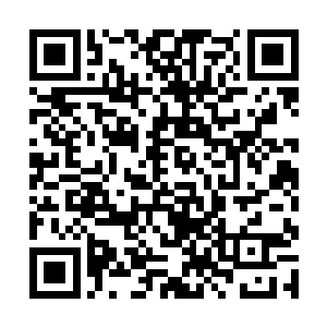 当几名想要趁机刺杀苏凡的家伙全部躺在地上的时候二维码生成