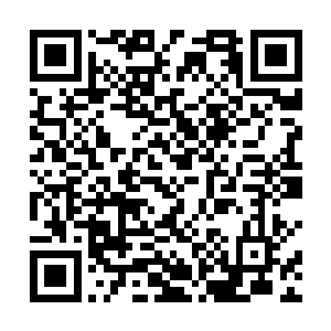 当凯瑟琳女王这道命令传到佩图霍夫家族的家长斯拉瓦二维码生成