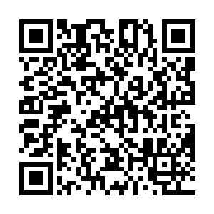 当初也只能眼睁睁的看着那一具武帝的骨骸沉入地底的二维码生成