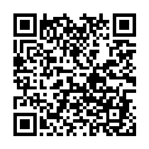 当初冷寒公布的规则和福利他们都没有当做一回事二维码生成