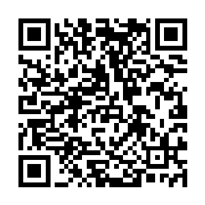 当初即便是牧千雨也惊讶于林铭在火系功法上的天赋二维码生成