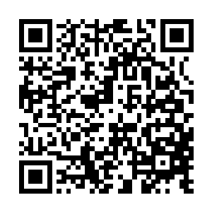 当初发现这血湖中血灵之气对修炼魔功大有帮助后二维码生成