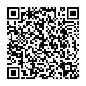 当初听林宗主说过结丹期光门之后是可以选择领悟不同的功法的时候二维码生成