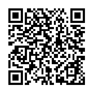 当初在大荒招揽的那些修士原本并不相信星辰冒险团的规则二维码生成