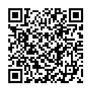 当初在洛尔城建立长阳府的长阳祖云空是我的曾孙子二维码生成