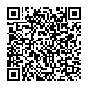 当初在飞龙部落的时候灰团子突然生出翅膀就让人眼珠子差点掉在地上二维码生成