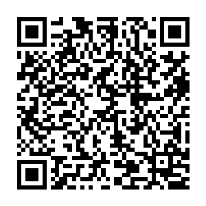 当初它的实体差点被发现就是因为它一时贪心多转移了一点能源过去二维码生成