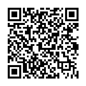 当初守护者中董家和梅家中分别是董依依和梅傲雪资质最好二维码生成