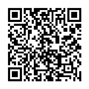 当初定王府派了一明一暗两路探子暗中帮助容华公主二维码生成