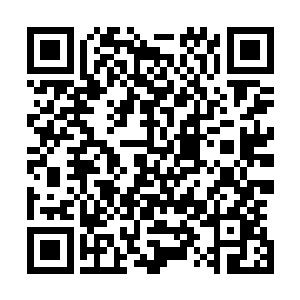 当初明明有机缘得见天外天超级大能级数的强者梦怀卿当面二维码生成