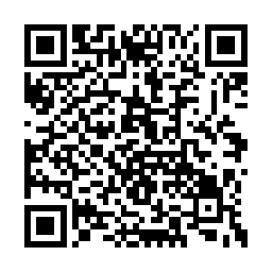 当初是故意和另九位大统领联手羞辱了苗毅没错二维码生成