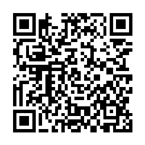 当初李朝天老大的崛起和最终灭亡都有政府的影子在里面二维码生成