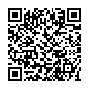 当初深渊龙王统帅四大龙族部族和十二水族部族二维码生成