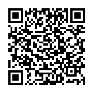当初的时候丁羽就已经把目标放置在了罗炫的身上面二维码生成