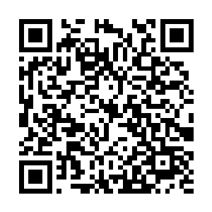 当初自己的确是把相关的事情交给了贺正宇代为管理二维码生成