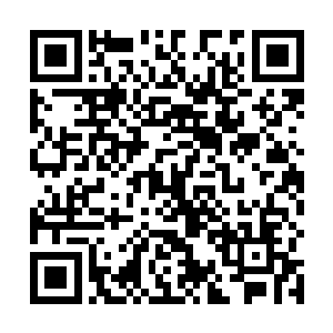 当初苗毅被所有人逼迫不得不反击的情形所有人都看着二维码生成