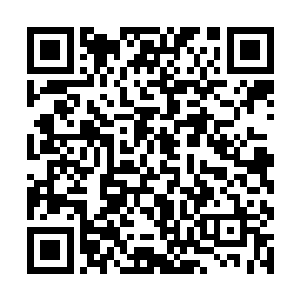 当初马麟就是在猝不及防之下中了那人手中的突火枪二维码生成