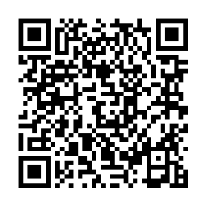 当即便是挥出一法印朝着那金轮便是直接冲了过去二维码生成