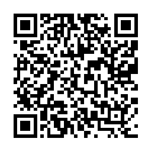 当即毫不留恋的直接一抖身上黑色斗篷的化作一道黑色鬼气二维码生成