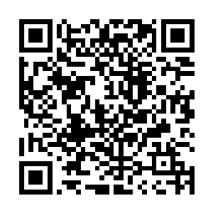 当听到叶枫竟然可以随便说服朴素和平全力与赵家合作二维码生成