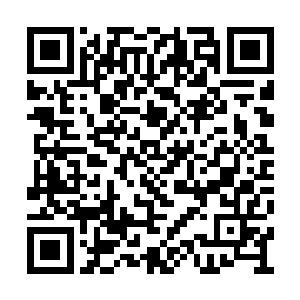 当听说陈雷等人逐渐在伊拉克回归到军人的角色二维码生成