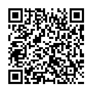 当在蹲下路的kx队员们见到对方直接开龙以后是什么感受二维码生成