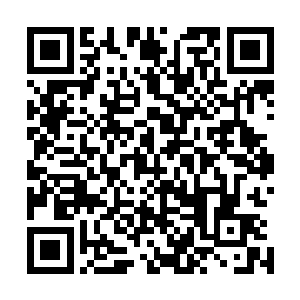 当地墨西哥一个叫萨派塔解放军的武装力量去抢他们的餐馆二维码生成