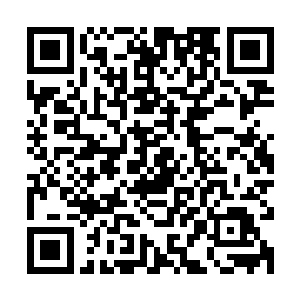 当夏初七气喘吁吁的抱着宝音从那半人高的草丛里踩过去的时候二维码生成