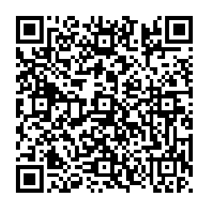 当夕残痕提供自身十分之一的鲜血就可以借助无量剑的威力击杀比自己高两阶的对手时二维码生成