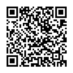 当她看到她仰望中的副会长大人理直气壮的承认他不如苏落时候二维码生成