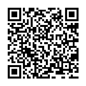 当她终于下定了决心做出了决定披着睡衣从浴缸里走出来的时候二维码生成