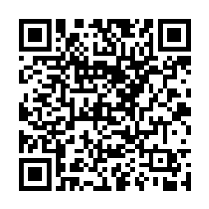 当它合拢嘴的时候我感觉我的骨头都要被它咬断了二维码生成