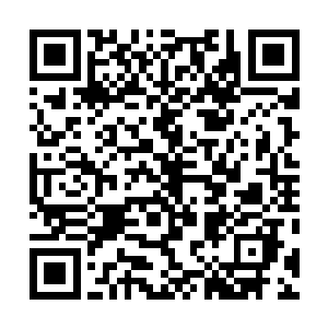 当安德健有意无意流露出可能陆为民有些不一样的想法时二维码生成