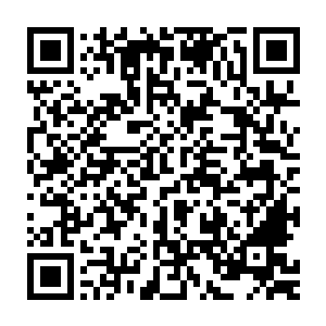 当已经大圣杯+大棒的陈诚在大龙河道附近又一次抓到路过的皇子二维码生成