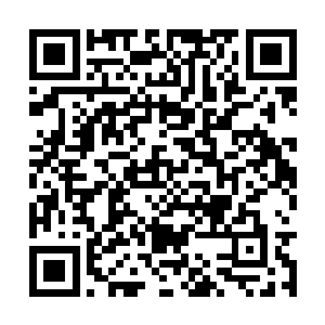 当年岳王爷在大一的时候就拿过全国业余散打冠军二维码生成