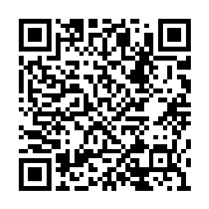 当年我再天族留下的一些典籍被这些人找出来了二维码生成