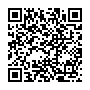 当年旁人是从这其脸上尚有存留的稚气来判断他大概的年纪二维码生成