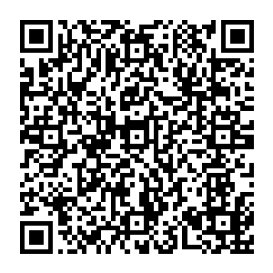 当年竟然没有趁着定王府最虚弱的时候不计代价的补上几刀以至于如今更多了一个难以预估的强大敌人二维码生成