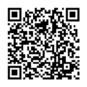 当年老爷子遇到的应该是避世修行的丹鼎派的人二维码生成