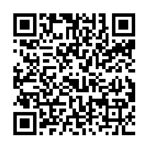 当年跟随帝国前往上层大陆的家族都有某一方面的特殊天赋二维码生成