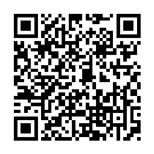 当年这些生物差一点就把整个大宇宙都给统治了二维码生成