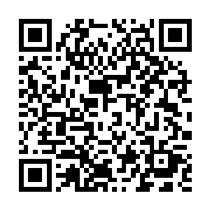 当年那几位大人府中有不少襁褓中的孩子无故失踪……二维码生成