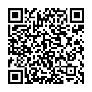 当年驻扎在这里的大卫精锐本来已经重创了三瘤妖树二维码生成