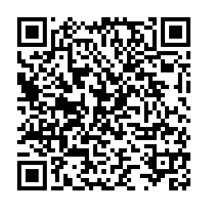 当弟弟的身体健康状态和记忆存在与否这个难题摆在卢莉玲的面前时二维码生成