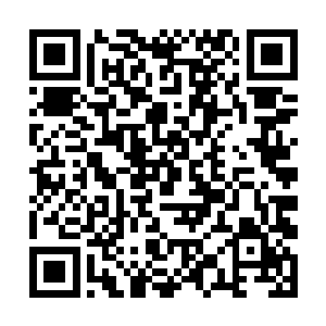 当张县长的目光越过张远河看向张远河身边的男子时二维码生成