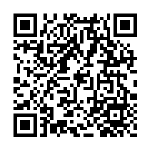 当张铁再次从生命之花的花苞之中站起来的时候二维码生成