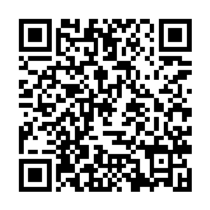 当当当当……古尔多与苏妲己耳中是一连串的碰撞声二维码生成