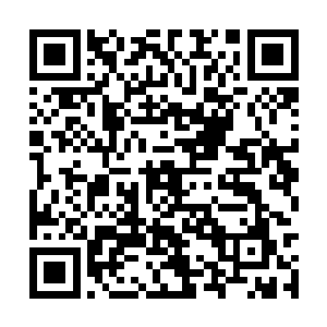 当得知在她昏迷的那一个多月里小存所遭受的事情二维码生成