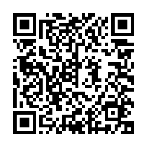 当我在白纸上勾勒出我认识的汪逹朋容颜抬头望向守林人时候二维码生成